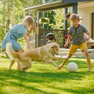 Family Playing In Yard With Dog